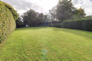 Rear Garden- click for photo gallery